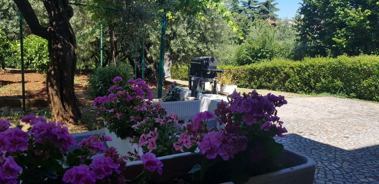 Clara 3 Lägenhet Poreč Exteriör bild